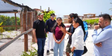En Playa del Carmen, las nuevas generaciones y el gobierno, unidos por la protección de la tortuga marina: Fernando Muñoz