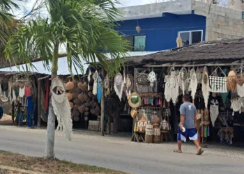 Carpinteros de Tulum enfrentan crisis por desplome turístico en la zona de transición