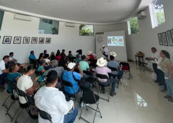 El gobierno de Estefanía Mercado refuerza acciones preventivas contra el Gusano Barrenador del Ganado en Playa del Carmen