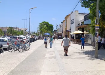 Investigan posible caso de gusano barrenador en un perro en Tulum; SENASICA analiza muestras