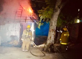 Incendio consume palapa en el Ejido Tulum; autoridades investigan causas