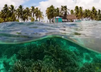 La seriedad de cuidar el medio ambiente