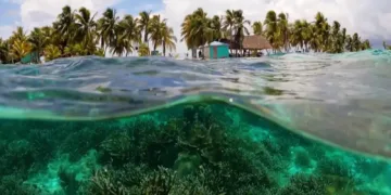 La seriedad de cuidar el medio ambiente