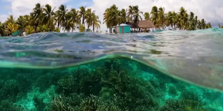 La seriedad de cuidar el medio ambiente