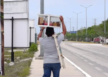 Vendedores ambulantes de kibis en Tulum enfrentan crisis por baja en turismo