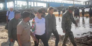 Estefanía Mercado lidera operativo con la SEMAR y ZOFEMAT para enfrentar el sargazo en Playa del Carmen