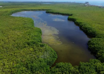 Proteger nuestros ecosistemas es una responsabilidad compartida, dice Mara Lezama al destacar recuperación de Laguna Manatí