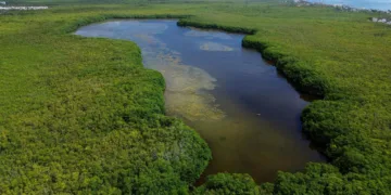 Proteger nuestros ecosistemas es una responsabilidad compartida, dice Mara Lezama al destacar recuperación de Laguna Manatí