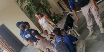 Amenaza entre vecinas en Mistiq Tulum moviliza a la Policía Ejecutiva; víctima pidió auxilio por redes sociales
