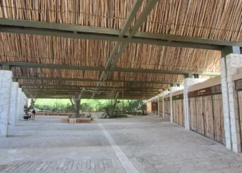 Precios elevados frenan ocupación de locales comerciales en el Parque del Jaguar en Tulum