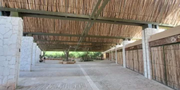 Precios elevados frenan ocupación de locales comerciales en el Parque del Jaguar en Tulum
