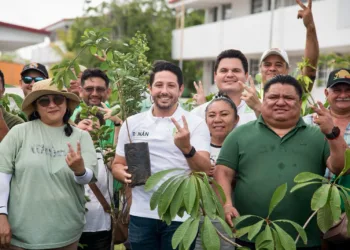 En el Día del Árbol, Renán Sánchez Tajonar reafirma compromiso del Partido Verde con la reforestación en Quintana Roo