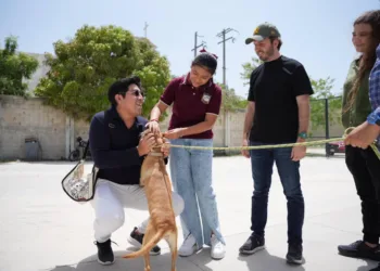 Fernando Muñoz Calero y la 8ª regidora infantil visitan el santuario de mascotas en Playa del Carmen
