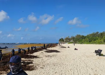 Se suman más apoyos al #RetoSargazo, iniciativa de la presidenta Estefanía Mercado: más de 90 elementos de Seguridad Ciudadana participan en Playa 88