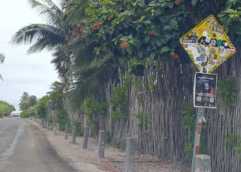 Señales viales cubiertas y vandalizadas agravan riesgos viales en Tulum; ciudadanos exigen atención urgente