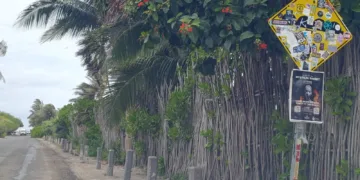 Señales viales cubiertas y vandalizadas agravan riesgos viales en Tulum; ciudadanos exigen atención urgente