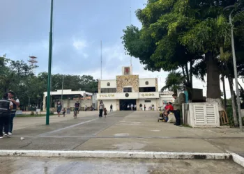 Sin denuncias formales, Órgano de Control no ha iniciado investigaciones por señalamientos de corrupción en Tulum