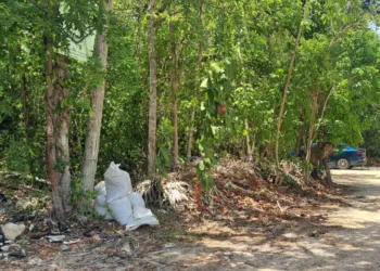 Tiran residuos de construcción en lotes baldíos de Tulum; vecinos piden vigilancia para frenar prácticas ilegales