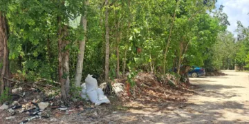 Tiran residuos de construcción en lotes baldíos de Tulum; vecinos piden vigilancia para frenar prácticas ilegales