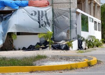Catástrofe Silenciosa: Basura Inmobiliaria Devora las Selvas de Tulum