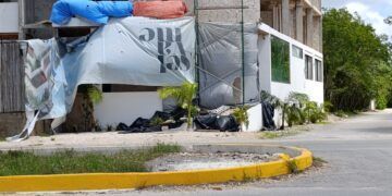Catástrofe Silenciosa: Basura Inmobiliaria Devora las Selvas de Tulum