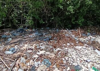 Vecinos de Guerra de Castas en Tulum Exigen Acción Inmediata Contra Basureros Clandestinos