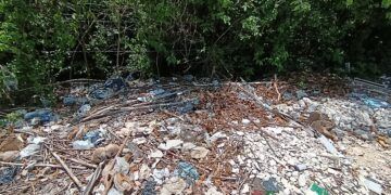 Vecinos de Guerra de Castas en Tulum Exigen Acción Inmediata Contra Basureros Clandestinos