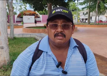 Cae producción de papaya maradol en Candelaria, pero hay esperanzas de reactivación
