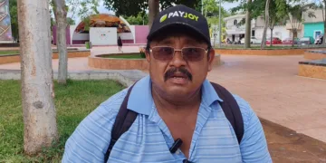 Cae producción de papaya maradol en Candelaria, pero hay esperanzas de reactivación