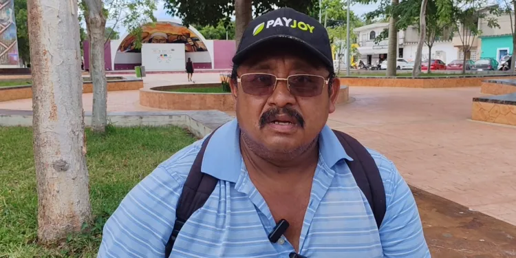 Cae producción de papaya maradol en Candelaria, pero hay esperanzas de reactivación