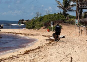 Marina y Zofemat Redoblan Esfuerzos para Mantener Limpias las Playas de Tulum