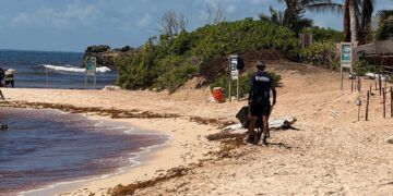 Marina y Zofemat Redoblan Esfuerzos para Mantener Limpias las Playas de Tulum