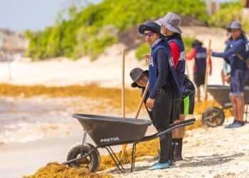 Elementos de la Marina Refuerzan la Lucha Contra el Sargazo en Tulum