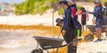 Elementos de la Marina Refuerzan la Lucha Contra el Sargazo en Tulum