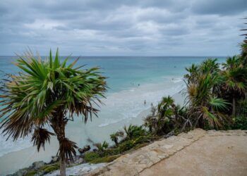 Hoteleros de Tulum Proponen Abrir Playas del Parque Nacional del Jaguar Ante Crisis por Sargazo