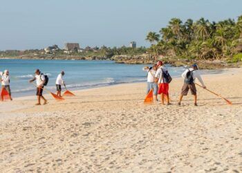 Zofemat Tulum contratará personal temporal ante aumento de sargazo en playas