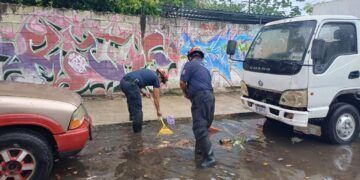 Gobierno de Estefanía Mercado Despliega Operativo “Tormenta” por Fuertes Lluvias en Playa del Carmen