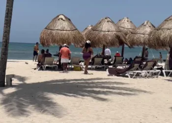 Desesperanza laboral en Tulum: profesionistas desempleados y mal pagados en medio de la crisis turística