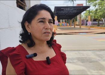 Apagones Frecuentes y Animales Sueltos Preocupan a Vecinos de José María Morelos; Comité Vecinal Alza la Voz