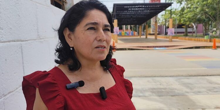 Apagones Frecuentes y Animales Sueltos Preocupan a Vecinos de José María Morelos; Comité Vecinal Alza la Voz