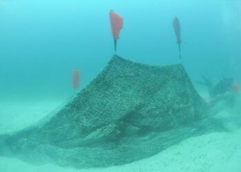Buzos retiran red fantasma de 100 metros del Parque Nacional Archipiélago Espíritu Santo en Baja California Sur
