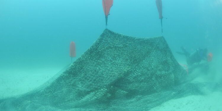 Buzos retiran red fantasma de 100 metros del Parque Nacional Archipiélago Espíritu Santo en Baja California Sur
