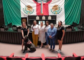 Quintana Roo garantiza acceso con perros de asistencia y animales de apoyo emocional