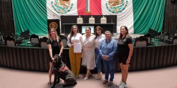 Quintana Roo garantiza acceso con perros de asistencia y animales de apoyo emocional