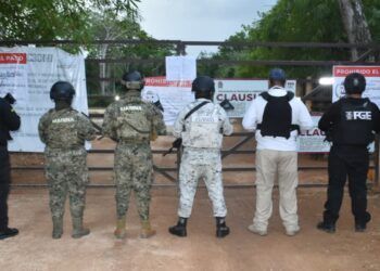 Catean predio en la “Ruta de los Cenotes” de Puerto Morelos por presuntos delitos ambientales