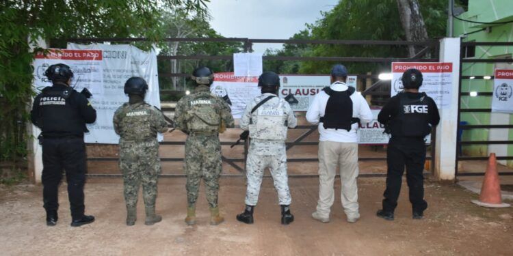 Catean predio en la “Ruta de los Cenotes” de Puerto Morelos por presuntos delitos ambientales