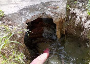 Fuga de Agua en la Tulum–Cobá Cumple Dos Meses Sin Reparación