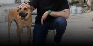 “No permitiremos el maltrato animal en Playa del Carmen”: Fernando Muñoz