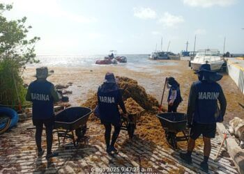 La Marina Recolecta Más de 200 Toneladas de Sargazo en Quintana Roo