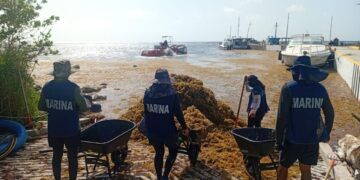 La Marina Recolecta Más de 200 Toneladas de Sargazo en Quintana Roo